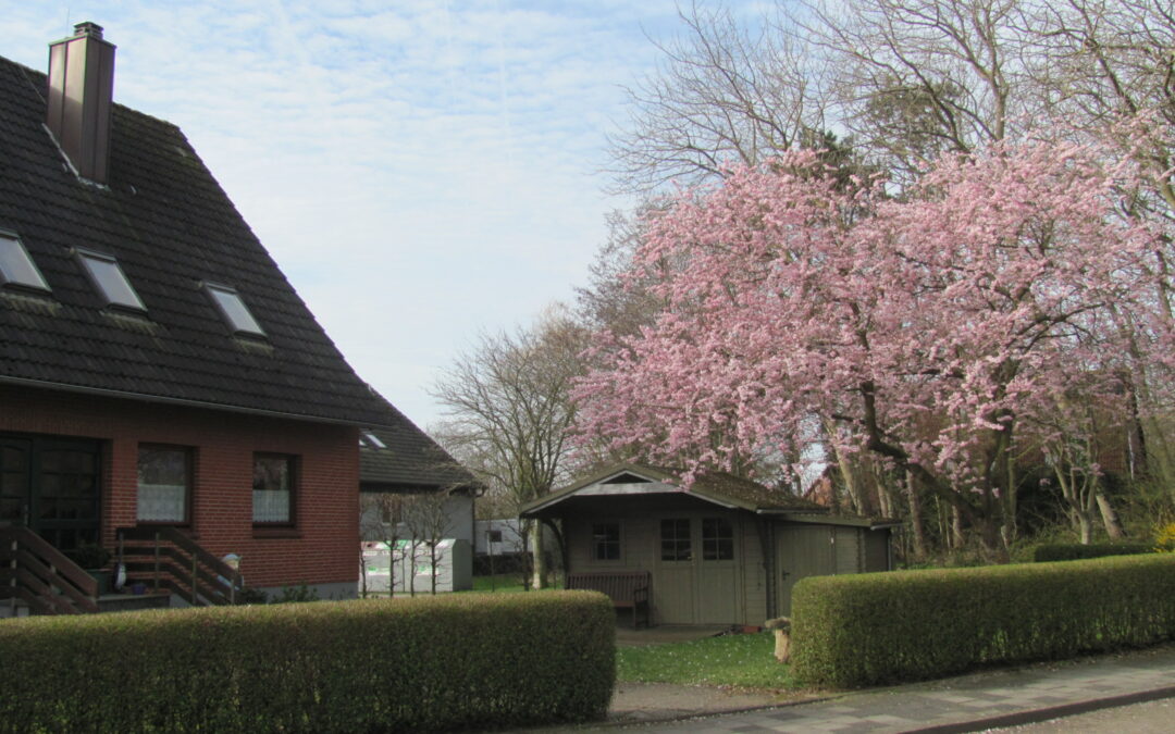 21-04-03 – Gästehaus „Godlewski“ – Wohnung 3, Im Dorfgroden 4 – 1-2 Personen