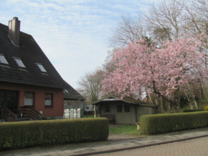 21-04-03 - Gästehaus "Godlewski" - Wohnung 3, Im Dorfgroden 4 - 1-2 Personen